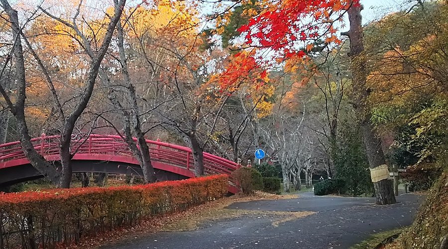 🏞️ 미도리가오카 공원 (미도리가오카 코엔) 이미지 7